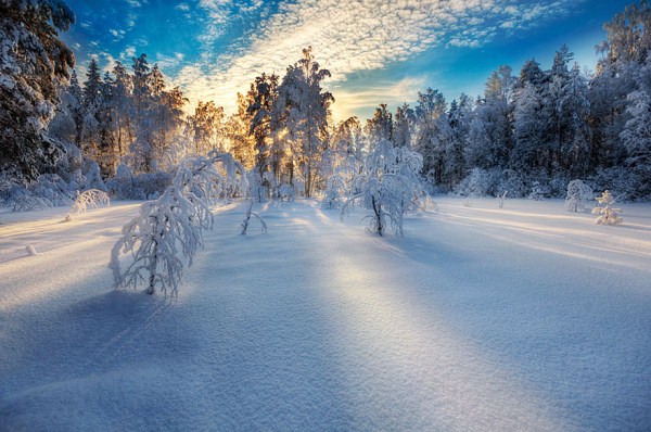 1036 Magnificent Snowy Landscapes (20 photos)
