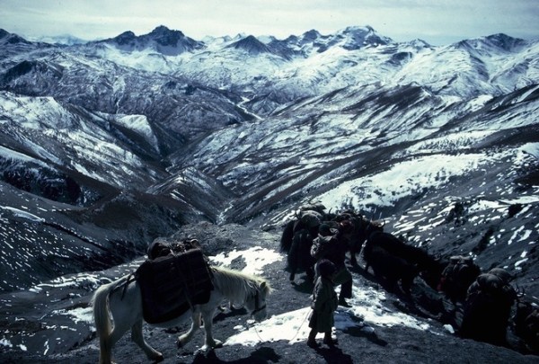 2311 Caravans Of The Himalaya (25 photos)