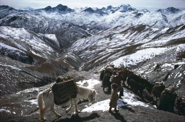 518 Caravans Of The Himalaya (25 photos)