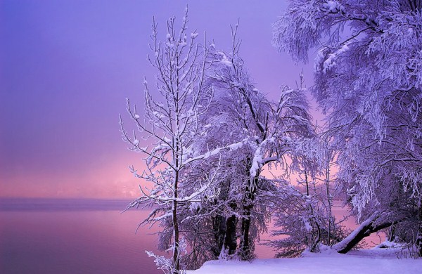 638 Magnificent Snowy Landscapes (20 photos)