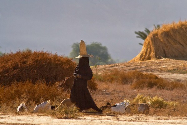 1214 Witches” of Yemen (16 photos)