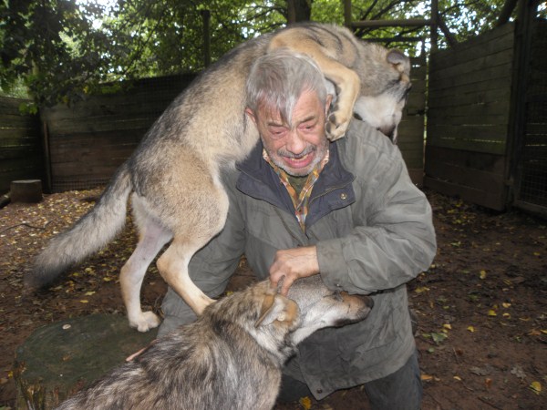 1240 Living With Wolves (30 photos)