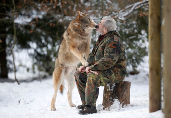 1536 Living With Wolves (30 photos)
