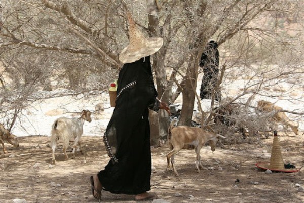 1611 Witches” of Yemen (16 photos)