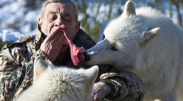 2028 Living With Wolves (30 photos)