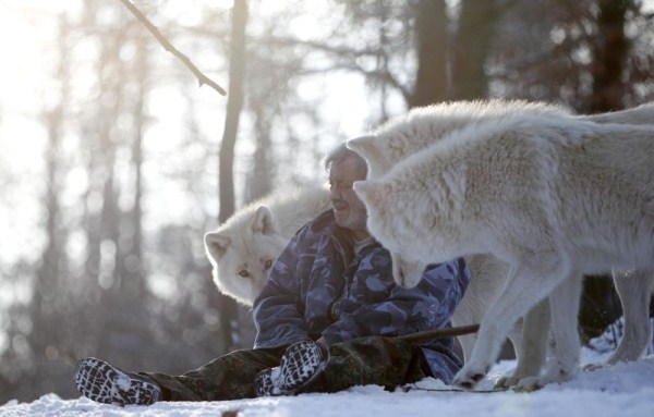 2144 Living With Wolves (30 photos)