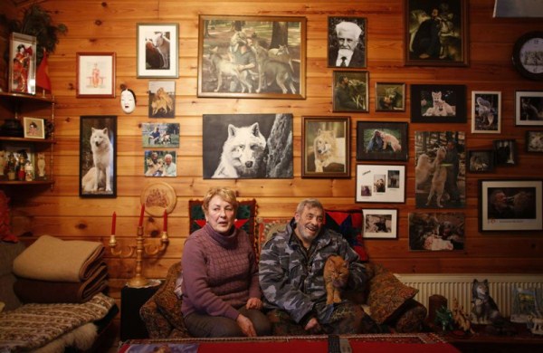 845 Living With Wolves (30 photos)