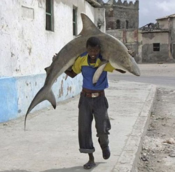 308 Οι ψαράδες του Μογκαντίσου (33 φωτογραφίες)