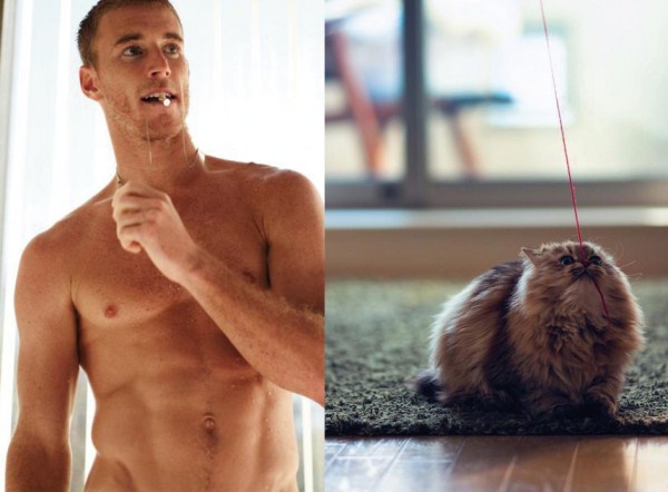 tumblr mixrd7qFmv1s77zr6o1 1280 Cats Who Could Be Male Models (128 photos)