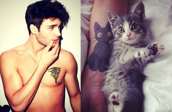 tumblr mixsgmbgRz1s77zr6o1 1280 Cats Who Could Be Male Models (128 photos)