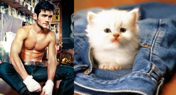 tumblr mixsku34mq1s77zr6o1 1280 Cats Who Could Be Male Models (128 photos)