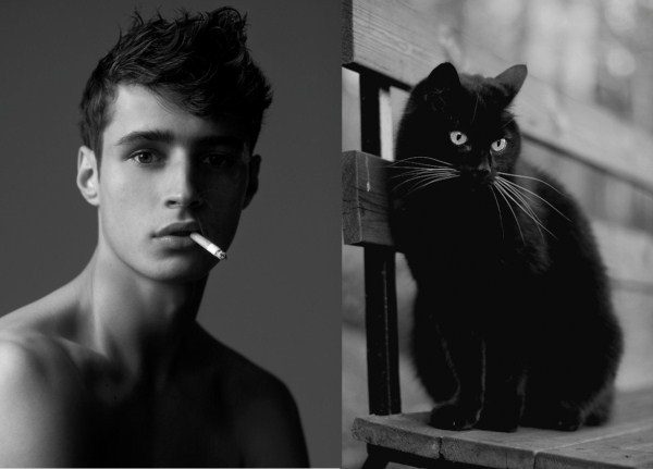 tumblr miz6sjdYfn1s77zr6o1 1280 Cats Who Could Be Male Models (128 photos)