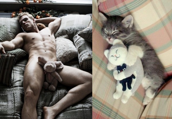 tumblr miz8k3C52N1s77zr6o1 1280 Cats Who Could Be Male Models (128 photos)
