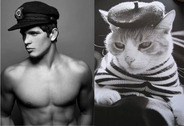 tumblr miza9g3Hsf1s77zr6o1 1280 Cats Who Could Be Male Models (128 photos)