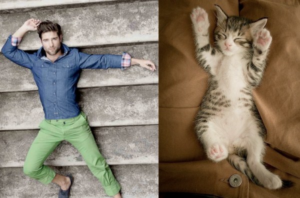 tumblr mizb4l6N0F1s77zr6o1 1280 Cats Who Could Be Male Models (128 photos)