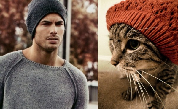 tumblr mizb7ya2IM1s77zr6o1 1280 Cats Who Could Be Male Models (128 photos)