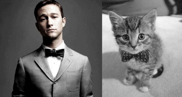 tumblr mizbnePLBl1s77zr6o1 1280 Cats Who Could Be Male Models (128 photos)