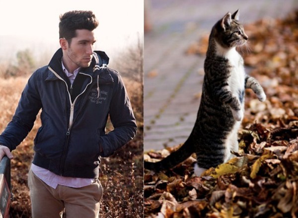tumblr mizhda7Ynu1s77zr6o1 1280 Cats Who Could Be Male Models (128 photos)