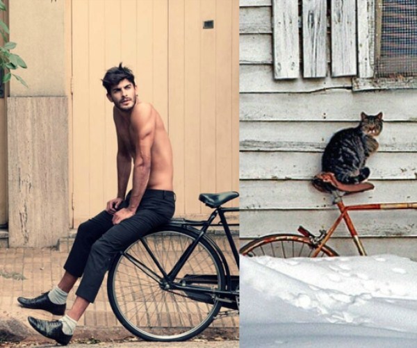 tumblr mizk0bMucC1s77zr6o1 1280 Cats Who Could Be Male Models (128 photos)