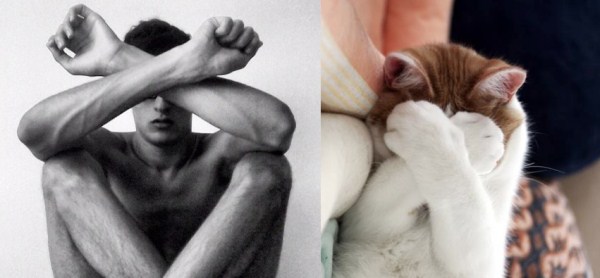 tumblr mj51r4aIR51s77zr6o1 1280 Cats Who Could Be Male Models (128 photos)