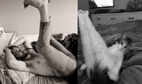 tumblr mj6onkEeeN1s77zr6o1 1280 Cats Who Could Be Male Models (128 photos)