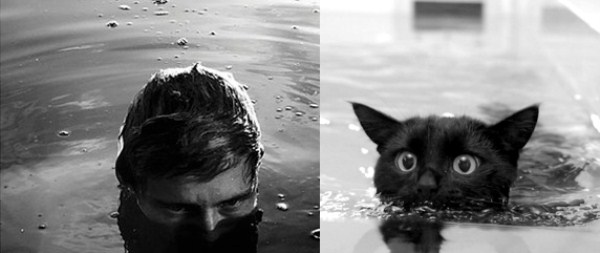 tumblr mj8hvejVnD1s77zr6o1 1280 Cats Who Could Be Male Models (128 photos)
