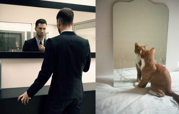 tumblr mjcoqmzx7T1s77zr6o1 1280 Cats Who Could Be Male Models (128 photos)