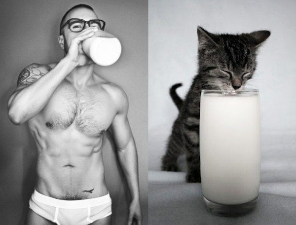 tumblr mjlew5hy1w1s77zr6o1 1280 Cats Who Could Be Male Models (128 photos)