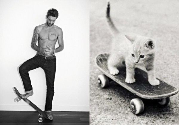 tumblr mkdsek4wJP1s77zr6o1 1280 Cats Who Could Be Male Models (128 photos)