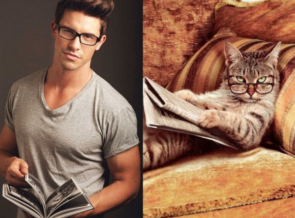 tumblr mko6femEhn1s77zr6o1 1280 Cats Who Could Be Male Models (128 photos)