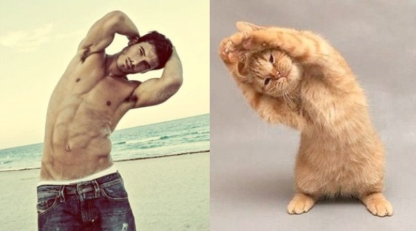 tumblr mko6lqL9Ix1s77zr6o1 1280 Cats Who Could Be Male Models (128 photos)