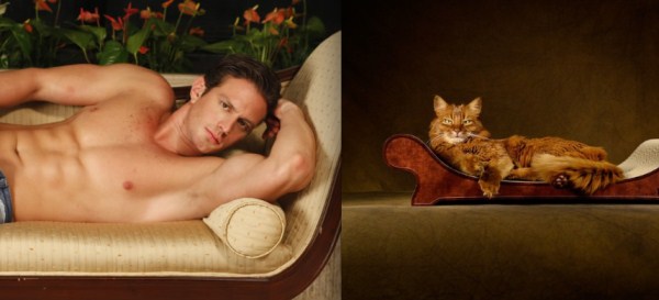 tumblr mlt1odQU0m1s77zr6o1 1280 Cats Who Could Be Male Models (128 photos)