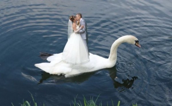 funny wedding photos from eastern europe 4 Totally Awkward Wedding Photos from Eastern Europe (38 photos)