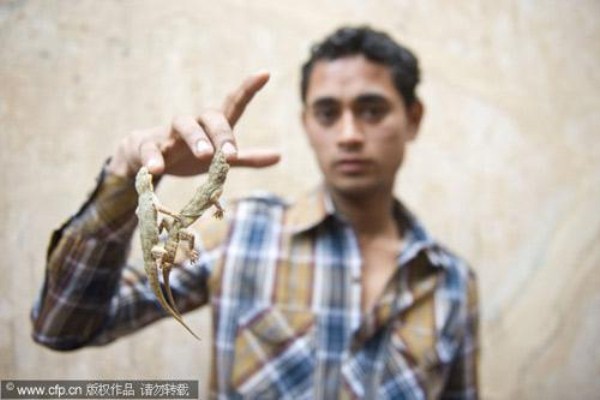 lizard man 5 Real Life Lizardman From India (8 photos)