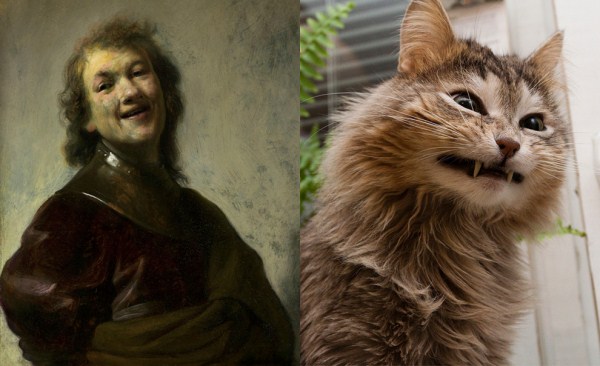 Cats Imitating Art (21 photos)