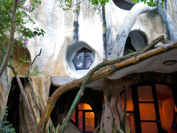 Crazy House In Vietnam (28 photos)