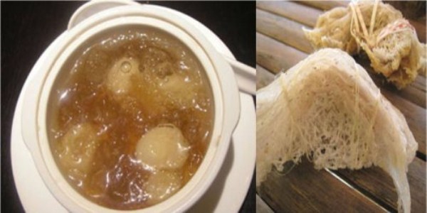 Terrifying Foods of the World (27 photos)