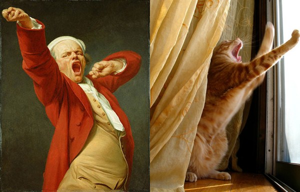 Cats Imitating Art (21 photos)