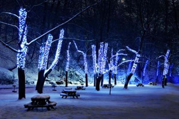 Beautiful Christmas Lights (30 photos)