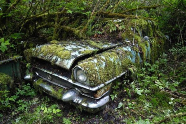 Car Cemetery in a Forest (30 photos)