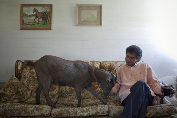 Unusual Pets (18 photos)
