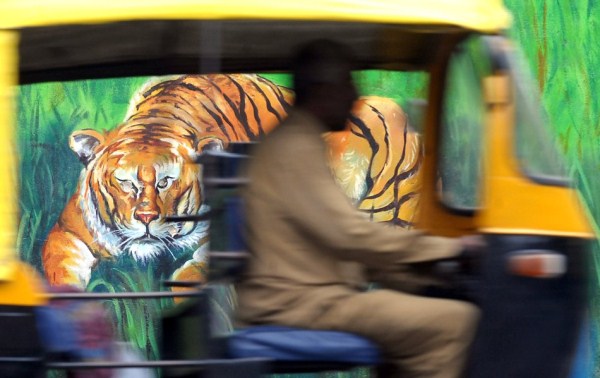Amazing Street Art in India (28 photos)