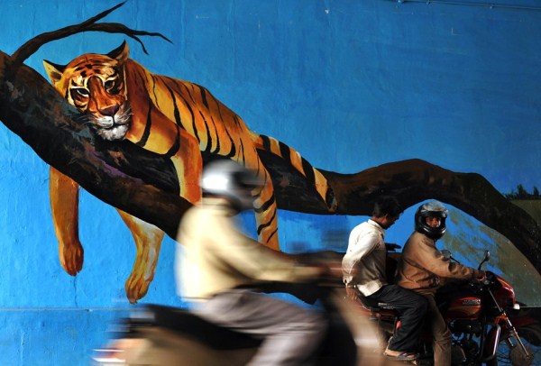 Amazing Street Art in India (28 photos)