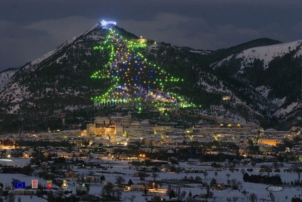 Worlds Best Christmas Trees (10 photos)