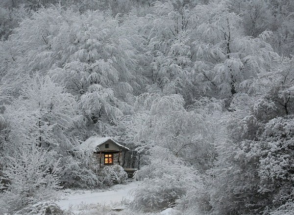 Magnificent Snowy Landscapes (20 photos)