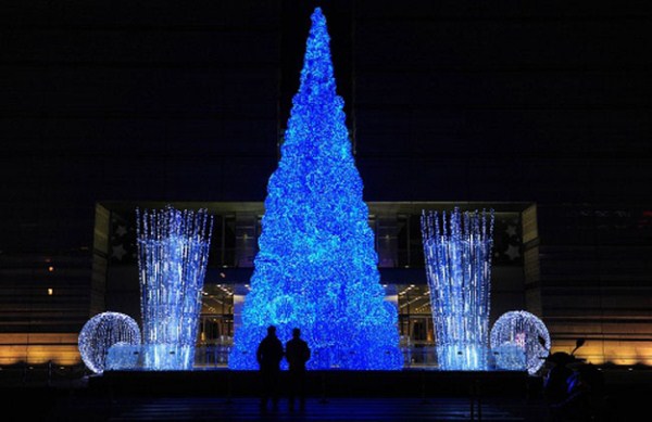 World's Best Christmas Trees (10 photos) 7