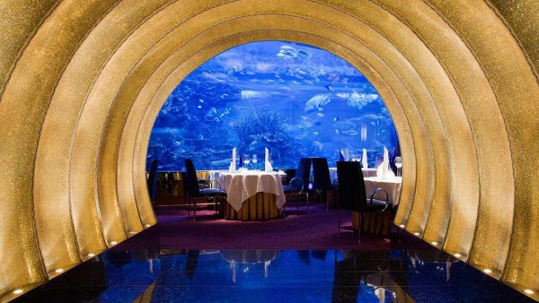 Worlds Most Beautiful Restaurants (40 photos)