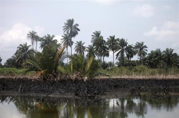 Oil Thieves in Nigeria (30 photos)