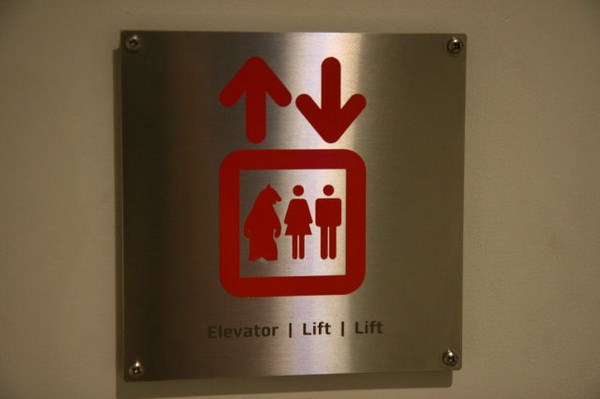 Funny Elevator Signs (32 photos)