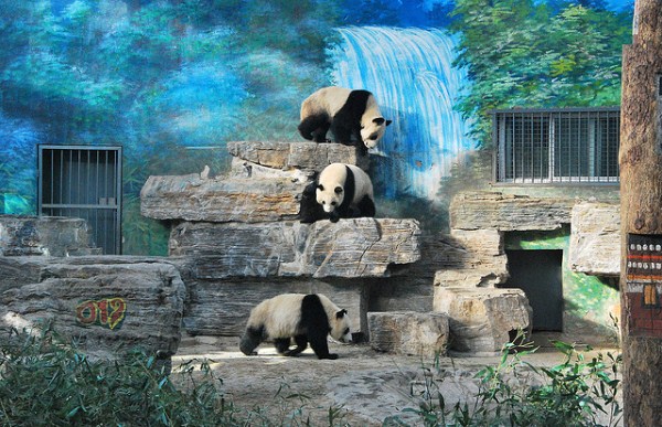 Worlds Largest Zoos (8 photos)